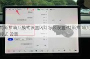 特斯拉哨兵模式设置闪灯怎么设置-特斯拉 哨兵模式 设置