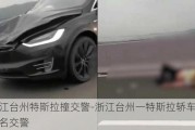 浙江台州特斯拉撞交警-浙江台州一特斯拉轿车撞倒两名交警