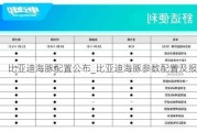 比亚迪海豚配置公布_比亚迪海豚参数配置及报价