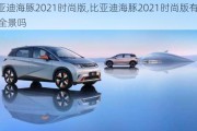 比亚迪海豚2021时尚版,比亚迪海豚2021时尚版有360全景吗