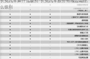 长安汽车算什么级别-长安汽车股份有限公司什么级别