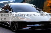 特斯拉三十多万的车-特斯拉suv30万左右推荐