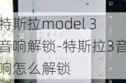 特斯拉model 3音响解锁-特斯拉3音响怎么解锁