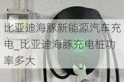 比亚迪海豚新能源汽车充电_比亚迪海豚充电桩功率多大