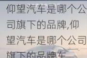 仰望汽车是哪个公司旗下的品牌,仰望汽车是哪个公司旗下的品牌车