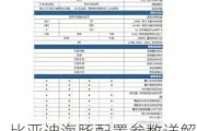 比亚迪海豚配置参数详解_比亚迪海豚配置参数详解