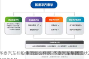 华泰汽车控股集团怎么样啊-华泰汽车集团现状2020年5月