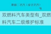 双燃料汽车类型有_双燃料汽车二级维护标准