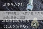 汽车防盗螺丝什么样子的_汽车防盗螺丝是什么级别