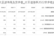 比亚迪海豚车型参数_比亚迪海豚2022款参数表