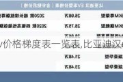 比亚迪汉ev价格梯度表一览表,比亚迪汉ev价格公布