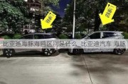 比亚迪海豚海鸥区别是什么_比亚迪汽车 海豚