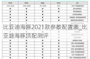 比亚迪海豚2021款参数配置表_比亚迪海豚顶配测评