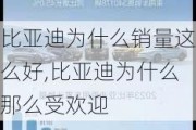 比亚迪为什么销量这么好,比亚迪为什么那么受欢迎