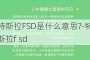 特斯拉FSD是什么意思?-特斯拉f sd