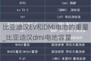 比亚迪汉EV和DMI电池的重量_比亚迪汉dmi电池容量