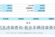 新乡小型汽车违章查询-新乡车辆违章查询系统官方网站