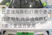 比亚迪海豚和d1哪个更适合家用车,比亚迪海豚和d1哪个更适合家用