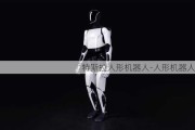 特斯拉人形机器人-人形机器人