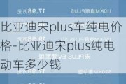 比亚迪宋plus车纯电价格-比亚迪宋plus纯电动车多少钱