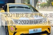 2021款比亚迪海豚,比亚迪海豚2022款缺点分析