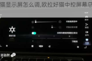 欧拉好猫显示屏怎么调,欧拉好猫中控屏幕总是自己变暗