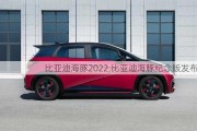 比亚迪海豚2022,比亚迪海豚纪念版发布