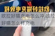 欧拉好猫充电怎么冲,欧拉好猫怎么样充电