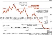 特斯拉股票大跳水,特斯拉股票大跳水原因