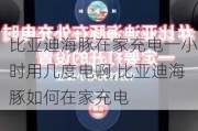 比亚迪海豚在家充电一小时用几度电啊,比亚迪海豚如何在家充电