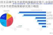 中国自主品牌汽车市场营销策略研究简介-中国自主品牌汽车市场营销策略研究简介概括