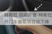 特斯拉 自动开窗-特斯拉开门车窗取消自动下降