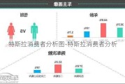 特斯拉消费者分析图-特斯拉消费者分析