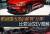 比亚迪汉ev车评yyp,比亚迪汉ev2020款评测