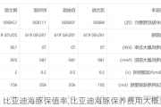 比亚迪海豚保值率,比亚迪海豚保养费用大概多少