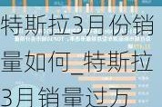 特斯拉3月份销量如何_特斯拉3月销量过万