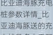 比亚迪海豚充电桩参数详情_比亚迪海豚送的充电桩是多少千瓦