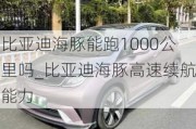 比亚迪海豚能跑1000公里吗_比亚迪海豚高速续航能力