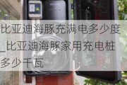 比亚迪海豚充满电多少度_比亚迪海豚家用充电桩多少千瓦