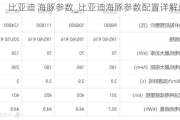 比亚迪 海豚参数_比亚迪海豚参数配置详解最新