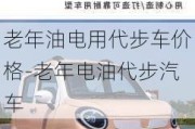 老年油电用代步车价格-老年电油代步汽车