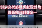 比亚迪海豚充电口怎么打开使用_比亚迪海豚新能源汽车怎么充电