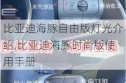 比亚迪海豚自由版灯光介绍,比亚迪海豚时尚版使用手册