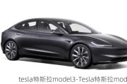 tesla特斯拉model3-Tesla特斯拉model Z