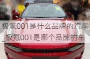 极氪001是什么品牌的汽车_极氪001是哪个品牌的车