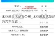 比亚迪海豚配置公布_比亚迪海豚新能源汽车配置