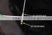 怎样鉴定汽车烧机油-鉴别汽车烧机油