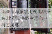 比亚迪海豚家用充电桩安装,比亚迪海豚家用充电桩安装费