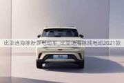 比亚迪海豚新款电动车_比亚迪海豚纯电动2021款