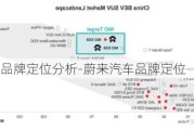 蔚来汽车品牌定位分析-蔚来汽车品牌定位